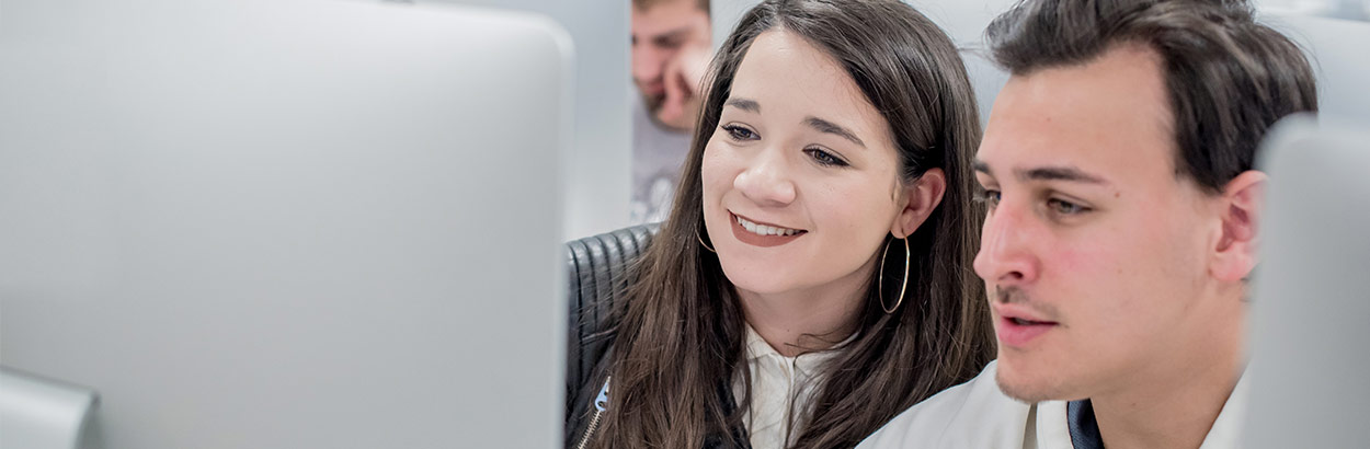 étudiants qui travaillent